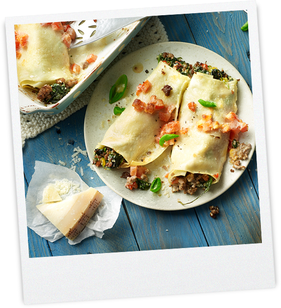 Nudelrollen mit Sesam-Spinat Hack