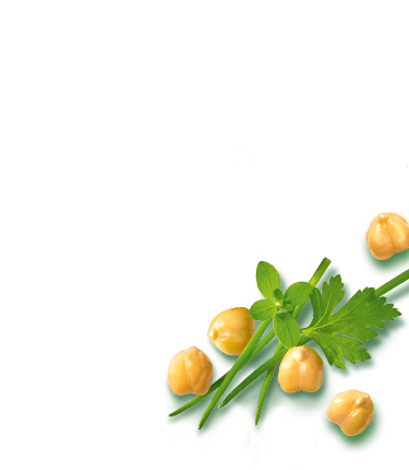 NOA Hummus<br>Kräuter