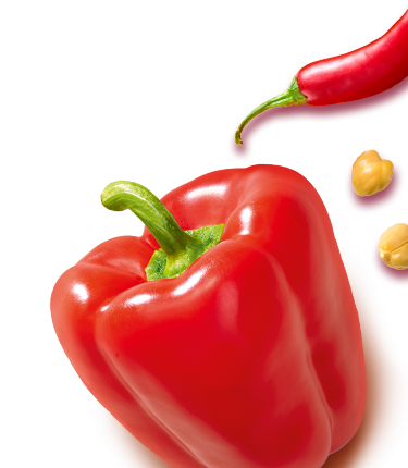 NOA Hummus<br>Paprika-Chili