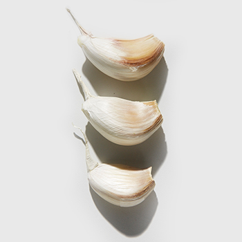 Knoblauch