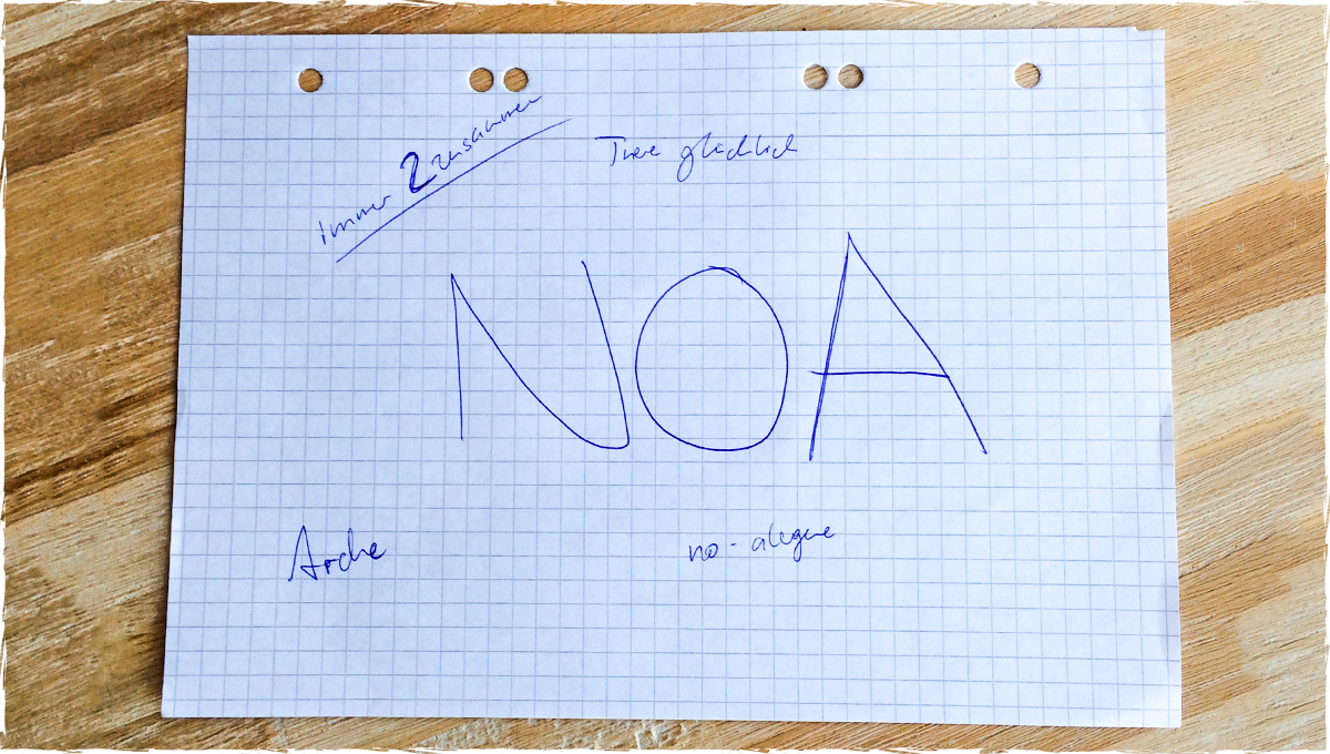 artikel-asset-noa