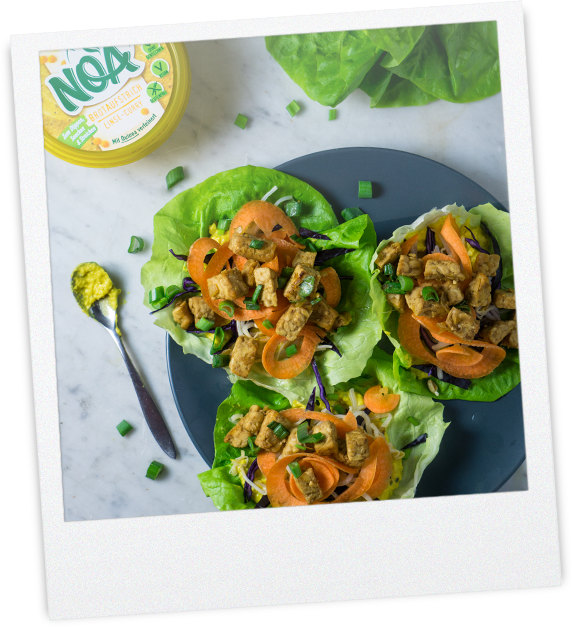 Salat Wraps
