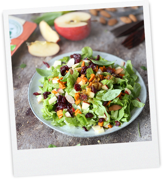 Herbstlicher Paprika-Tomate Apfel Salat