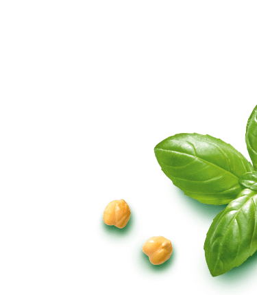 NOA Brotaufstrich<br>Kichererbse Tomate-Basilikum